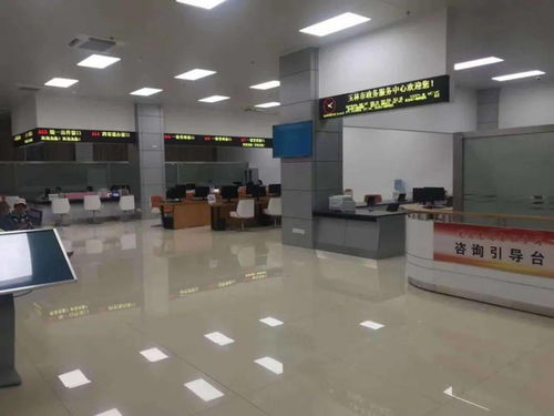 智能化網辦化 玉林市政務服務24小時不打烊的數據處理與存儲支持