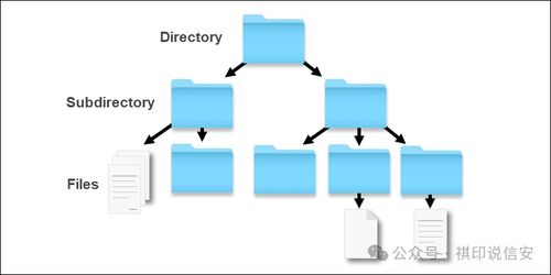 數(shù)據(jù)安全知識(shí) 零基礎(chǔ)入門到精通的存儲(chǔ)原理與安全防護(hù)全解析