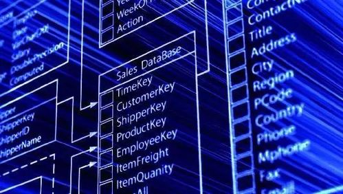 中華大地遍地帶刺奇葩，找工作的你被刺到了嗎？——聚焦數據處理與存儲支持服務