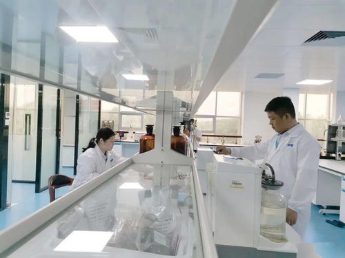 立興食品 打造國家級檢測中心，鍛造品質(zhì)生命線——西安連城檢測技術(shù)揭牌紀(jì)實(shí)