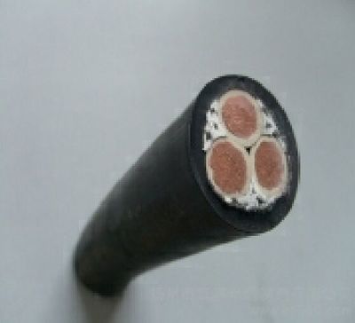 CEFR船用控制電纜CEFR-3*25+1*10 品質(zhì)護(hù)航船舶電氣系統(tǒng)的核心組件